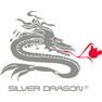 Silver Dragon Resources Inc.