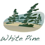 White Pine Resources Inc.